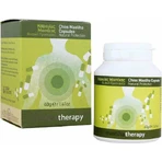 PharmaQ MastihaTherapy 90 капс.: ціни та характеристики