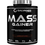 Galvanize Nutrition Mass Gainer Vanilla с креатином и ванильным вкусом 3 кг: цены и характеристики