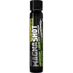 Biotech USA MagnaShot 20 x 25ml Lemon Lime: цены и характеристики