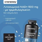OnEnergy Ліпосомальна харчова добавка NAD+ 500 мг спеціальна 60 капс.: ціни та характеристики