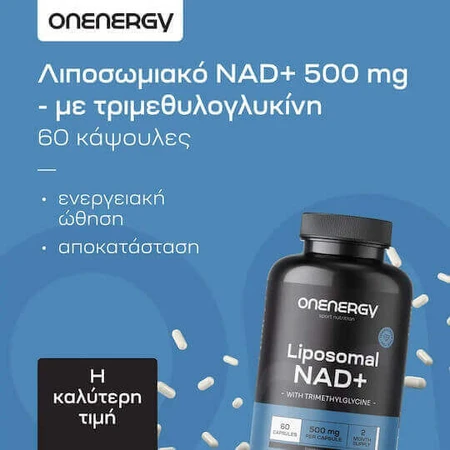 OnEnergy Ліпосомальна харчова добавка NAD+ 500 мг спеціальна 60 капс.: ціни та характеристики