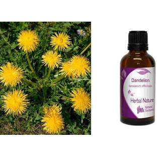 Nature & Body Tincture Настойка одуванчика 50 мл