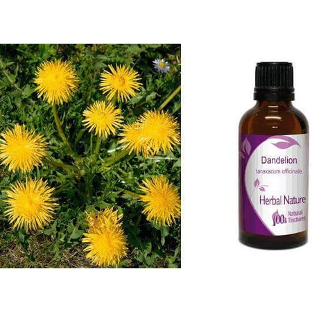 Nature & Body Tincture Настойка одуванчика 50 мл: цены и характеристики