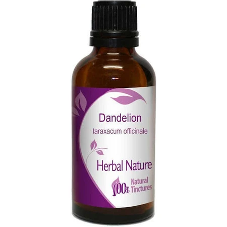 Nature & Body Tincture Настойка одуванчика 50 мл: цены и характеристики