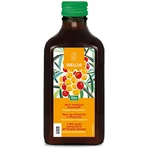Weleda Mein Sanddorn Immunsaft 200мл: ціни та характеристики