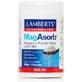 Lamberts MagAsorb 375мг 165г