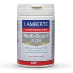Lamberts Multi-Guard ADR Energy Multivitamin 60 Tablets: цены и характеристики