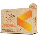 Genecom Terra B12 Вітамін для здоров'я нервової системи апельсин 30 жувальних таблеток: ціни та характеристики