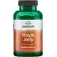 Swanson Royal Jelly Вітамін для енергії, імунної системи та зміцнення волосся 100 м'яких гелів