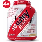 Immortal Nutrition 100% Whey Protein 100% сывороточный протеин со вкусом соленой карамели 4х2 кг: цены и характеристики