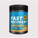Gold Nutrition Харчова добавка для швидкого відновлення спеціальна 600гр Соковитий апельсин