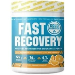 Пищевая добавка Gold Nutrition Fast Recovery Special 600 гр Сочный апельсин: цены и характеристики