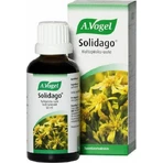 A.Vogel Solidago Complex Drops Food Supplement Special 50ml: цены и характеристики