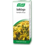 A.Vogel Solidago Complex Drops Food Supplement Special 50ml: цены и характеристики