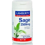 Lamberts Шавлія 2500 мг добавка при менопаузі 90 таб.: ціни та характеристики