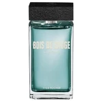 Туалетная вода Yves Rocher Bois de Sauge (Буа де Сож), 100 мл: цены и характеристики
