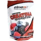 Eleven Fit Creatine Monohydrate Berries 300гр