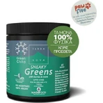 TerraNova Child Sneaky Greens Super Shake Мультивітамінний коктейль для підвищення енергії, імунітету та антиоксидантної дії 180гр: ціни та характеристики