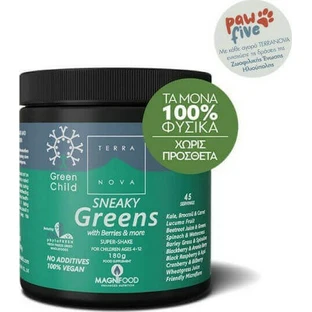 TerraNova Child Sneaky Greens Super Shake Мультивітамінний коктейль для підвищення енергії, імунітету та антиоксидантної дії 180гр
