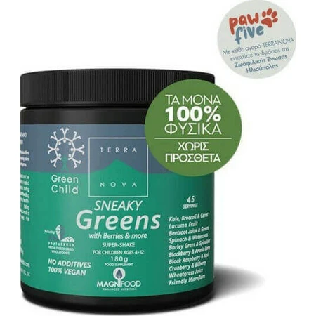 TerraNova Child Sneaky Greens Super Shake Мультивітамінний коктейль для підвищення енергії, імунітету та антиоксидантної дії 180гр: ціни та характеристики