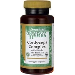 Swanson Cordyceps Complex 60 растительных капсул: цены и характеристики