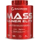 Galvanize Nutrition Сироватковий протеїн з креатином та смаком печива і вершків 3.06кг