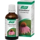 A.Vogel Echinaforce Echinacea Tincture Echinacea Drops 50ml Fresh Echinacea Tincture