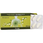PharmaQ MastihaTherapy 30 капс.: ціни та характеристики