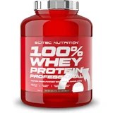 Scitec Nutrition 100% Whey Protein Професійний сироватковий протеїн без глютену зі смаком шоколадного фундука 2,35 кг