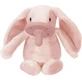 Minikoioi Buddy силиконовая пустышка Lola - розовая для 0+ месяцев