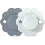 Силиконовая пустышка Suavinex Sx Pro - Wonderful & Blue для 0-6 месяцев 2шт: цены и характеристики