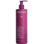 Caudalie The Des Vignes Зволожуючий лосьйон для тіла з гіалуроновою кислотою для нормальної та сухої шкіри 400мл: ціни та характеристики