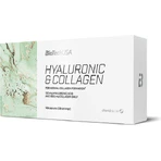 Biotech USA Hyaluronic & Collagen with Hyaluronic Acid & Vitamin C 120 caps: цены и характеристики