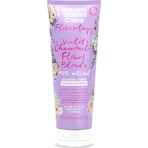 Umberto Giannini Flowerology Flowerology Фиалка + ромашка Кондиционер для поддержания цвета блонд для окрашенных волос 250 мл: цены и характеристики