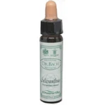 Ainsworths Scleranthus Flower Essence Drops 10ml: цены и характеристики