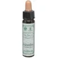Ainsworths Scleranthus Flower Essence Drops 10ml