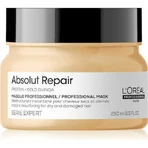 L'Oréal Professionnel Serie Expert Absolut Repair Зміцнююча маска для волосся 250 мл: ціни та характеристики