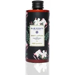 Blue Scents Ночной жасмин Ночной жасмин Увлажняющий лосьон для тела с ароматом жасмина 300 мл: цены и характеристики
