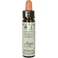 Ainsworths Aspen Flower Essence Relaxing Drops 10ml