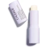 Бальзам для губ Caudalie 4.5гр