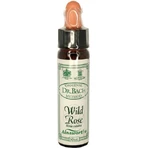 Ainsworths Wild Rose Flower Essence Drops 10ml: цены и характеристики