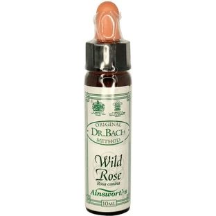 Ainsworths Wild Rose Flower Essence Drops 10ml