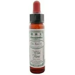 Ainsworths Wild Rose Flower Essence Drops 10ml: цены и характеристики