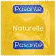 Натуральний консервант Pasante 1шт