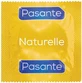 Натуральний консервант Pasante 1шт