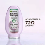 Garnier Botanic Therapy Rice Water & Starch Rituals Ритуали рисової води та крохмалю Об'ємний кондиціонер 200 мл: ціни та характеристики