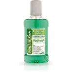 Anemos Mastic & Herbs Mouthwash Daily Protection: цены и характеристики