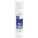 Frezyderm Mousse After Sun Заспокійливий мус для обличчя та тіла з пантенолом у формі спрею 150 мл: ціни та характеристики