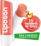 Liposan Colour Бальзам для губ Персиковый блеск 4,8 гр