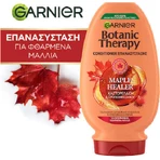 Garnier Botanic Therapy Maple Healer Восстанавливающий/питательный кондиционер для сухих волос 200 мл: цены и характеристики